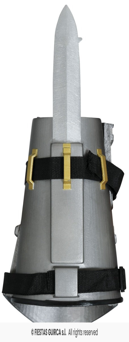 Pugnale Assassin's Creed