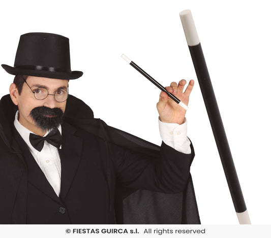 Bacchetta magica