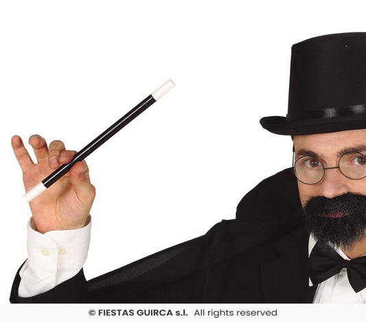 Bacchetta magica