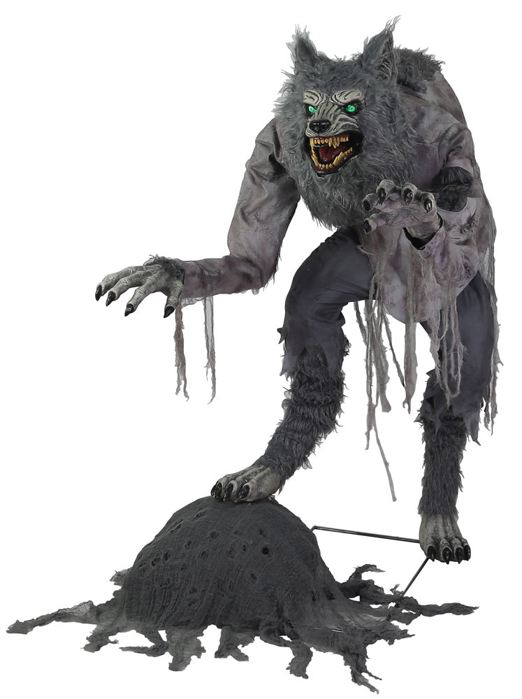 Animatronica Lupo Mannaro 1