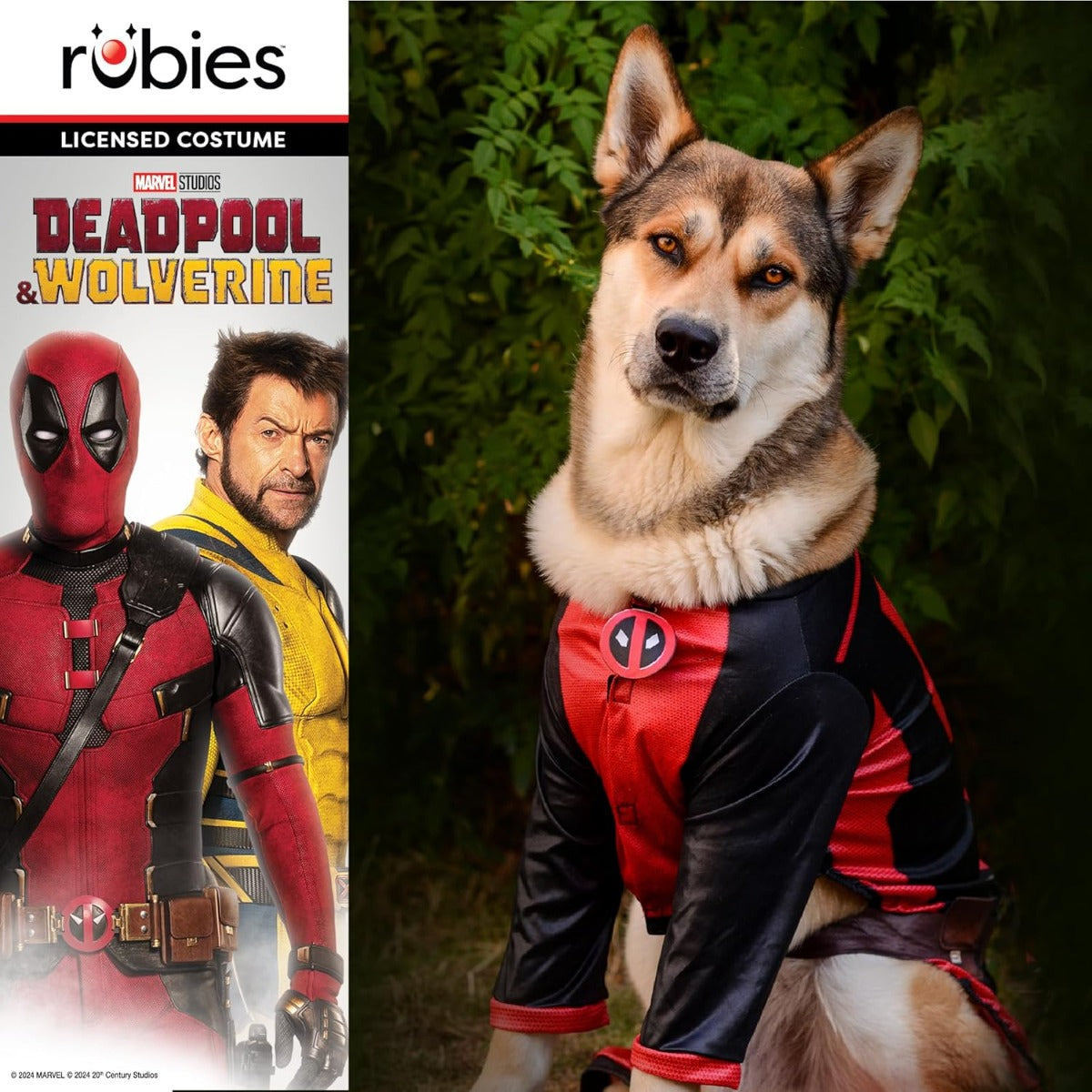 costume Deadpool per cani