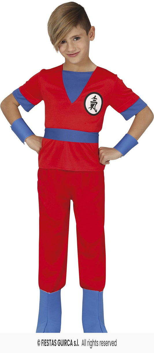 costume goku dragon ball