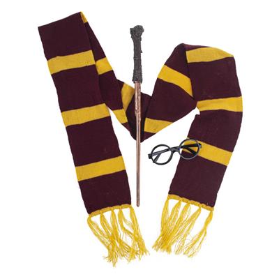 Accessori Harry Potter