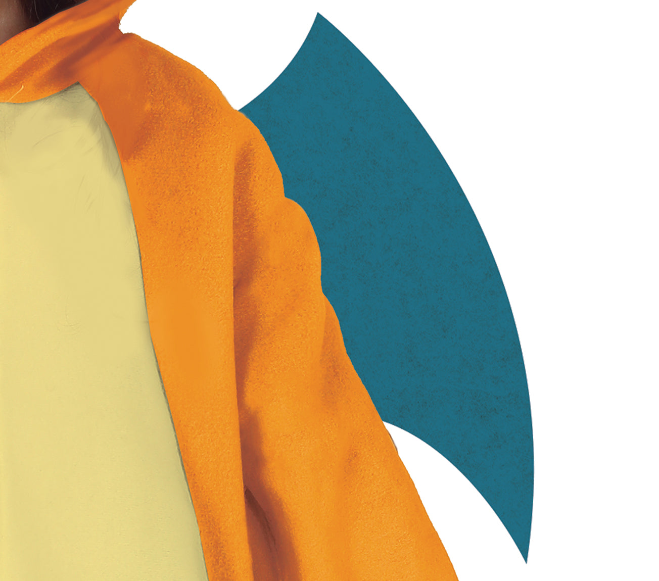 costume charizard