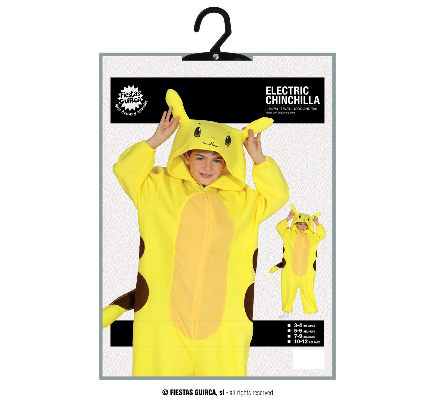 costume Pikachu Pokemon