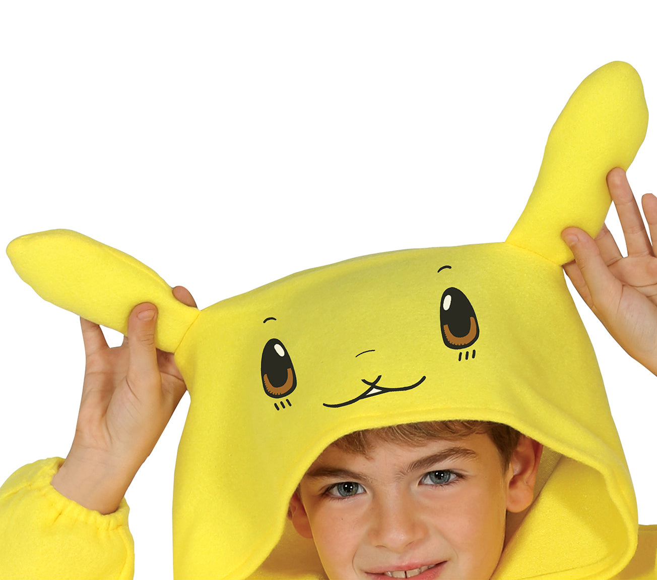 costume Pikachu Pokemon