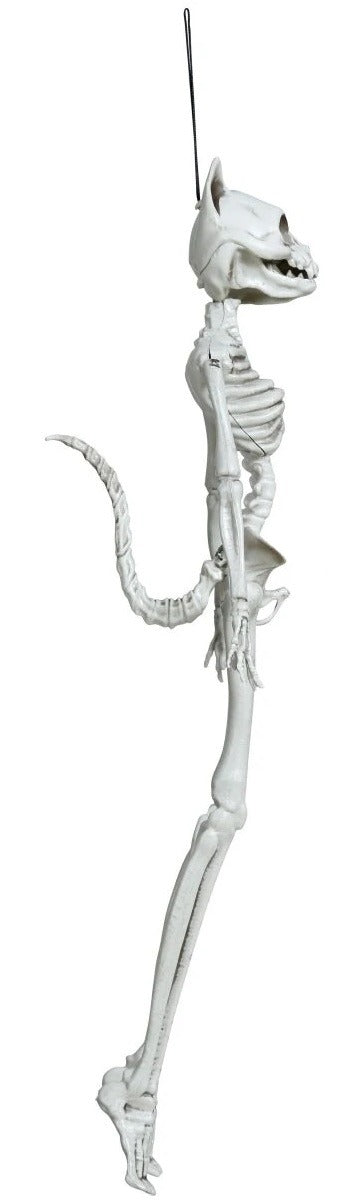 decorazione gattina scheletro
