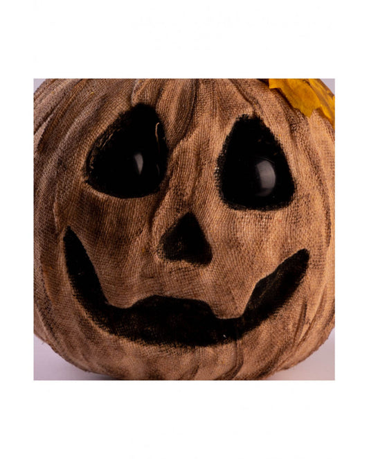 zucca horror