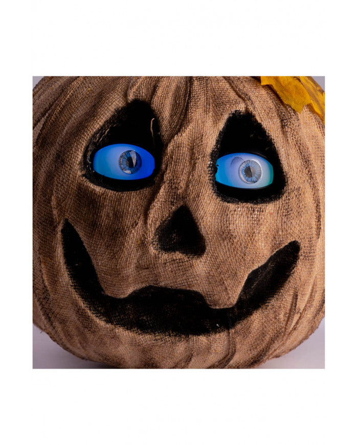 zucca horror