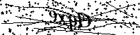 Si prega di digitare le lettere e i numeri qui sotto