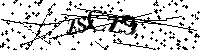 Si prega di digitare le lettere e i numeri qui sotto