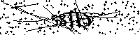 Si prega di digitare le lettere e i numeri qui sotto