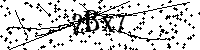 Si prega di digitare le lettere e i numeri qui sotto