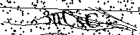 Si prega di digitare le lettere e i numeri qui sotto