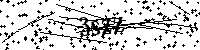 Si prega di digitare le lettere e i numeri qui sotto