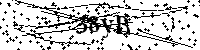 Si prega di digitare le lettere e i numeri qui sotto