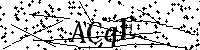 Si prega di digitare le lettere e i numeri qui sotto