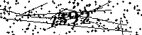 Si prega di digitare le lettere e i numeri qui sotto