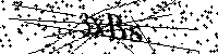 Si prega di digitare le lettere e i numeri qui sotto