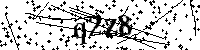 Si prega di digitare le lettere e i numeri qui sotto
