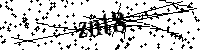 Si prega di digitare le lettere e i numeri qui sotto