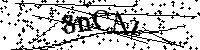 Si prega di digitare le lettere e i numeri qui sotto