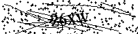 Si prega di digitare le lettere e i numeri qui sotto