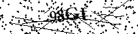Si prega di digitare le lettere e i numeri qui sotto