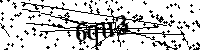 Si prega di digitare le lettere e i numeri qui sotto
