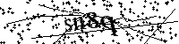 Si prega di digitare le lettere e i numeri qui sotto