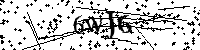 Si prega di digitare le lettere e i numeri qui sotto