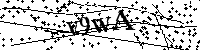 Si prega di digitare le lettere e i numeri qui sotto