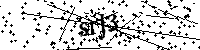 Si prega di digitare le lettere e i numeri qui sotto