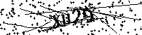 Si prega di digitare le lettere e i numeri qui sotto