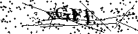 Si prega di digitare le lettere e i numeri qui sotto