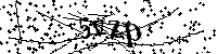 Si prega di digitare le lettere e i numeri qui sotto