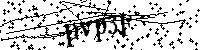 Si prega di digitare le lettere e i numeri qui sotto