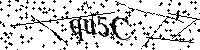 Si prega di digitare le lettere e i numeri qui sotto