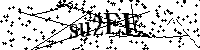 Si prega di digitare le lettere e i numeri qui sotto