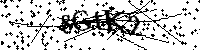Si prega di digitare le lettere e i numeri qui sotto