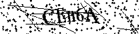 Si prega di digitare le lettere e i numeri qui sotto