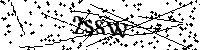 Si prega di digitare le lettere e i numeri qui sotto