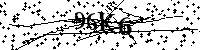 Si prega di digitare le lettere e i numeri qui sotto