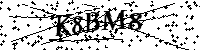 Si prega di digitare le lettere e i numeri qui sotto
