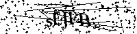 Si prega di digitare le lettere e i numeri qui sotto