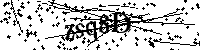 Si prega di digitare le lettere e i numeri qui sotto