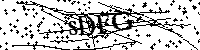 Si prega di digitare le lettere e i numeri qui sotto