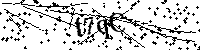 Si prega di digitare le lettere e i numeri qui sotto