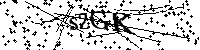 Si prega di digitare le lettere e i numeri qui sotto