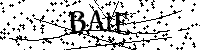 Si prega di digitare le lettere e i numeri qui sotto